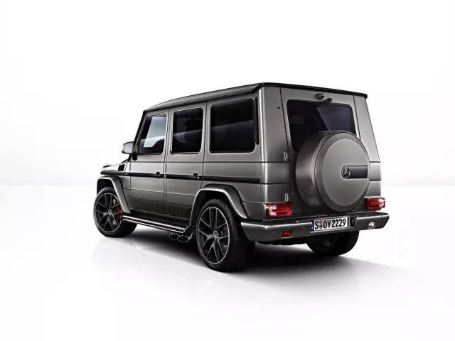 G65的魅力探索，多元化象征的展现