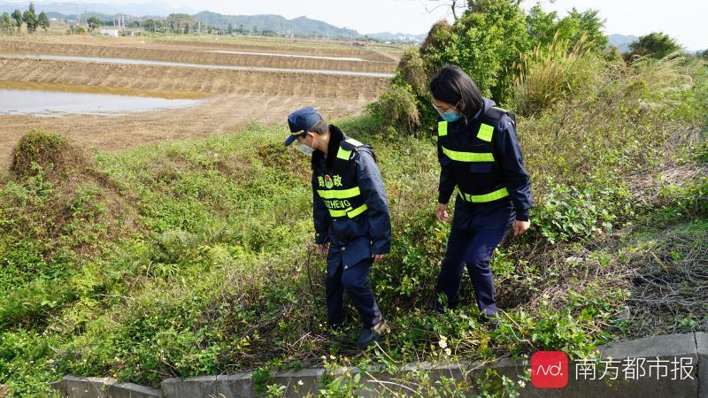 西部沿海高速，繁荣与未来的连接纽带